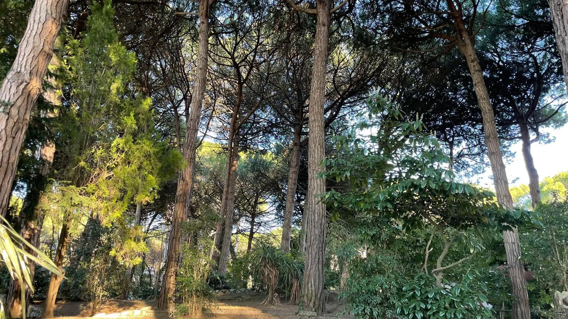 Appartamento Villa Alba Nel Cuore Della Pineta Lido di Jesolo 0*,  Italy